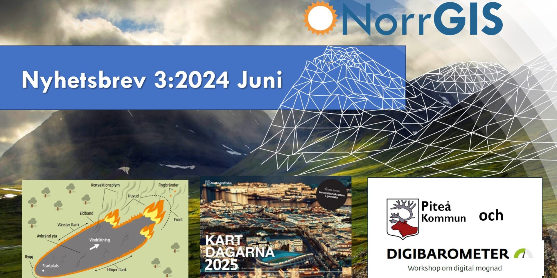 2024_3juni_Nyhetsbrev